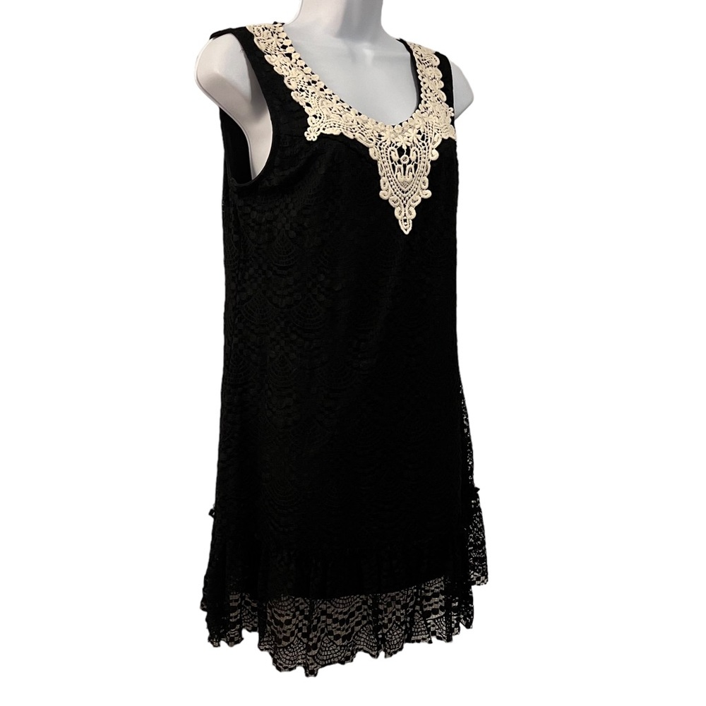 Valerie Stevens | Lace Overlay Dress